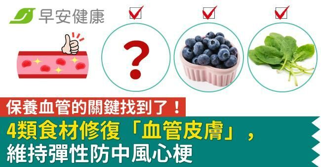 保養血管的關鍵找到了！4類食材修復「血管皮膚」，維持彈性防中風心梗