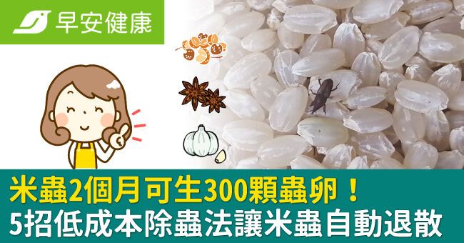 米蟲2個月可生300顆蟲卵！5招低成本除蟲法，放蒜頭讓米蟲自動退散
