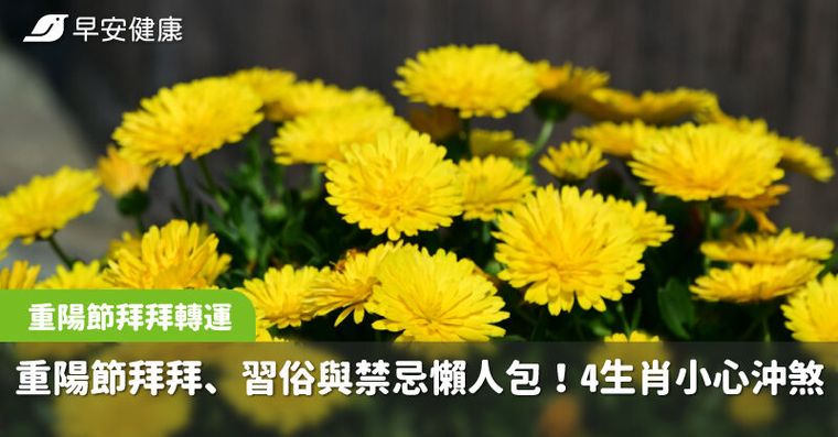 重陽節拜拜、習俗、禁忌知多少！命理專家點名4生肖小心沖煞，重陽節拜拜轉運這樣做