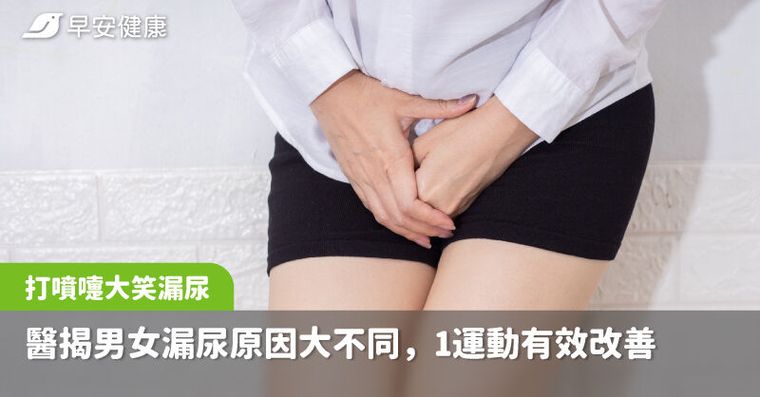 打噴嚏、大笑就漏尿？醫揭男女漏尿原因大不同，1運動有效改善