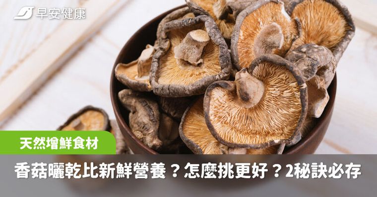 曬乾比新鮮更營養？保存香菇鮮香風味2秘訣必存