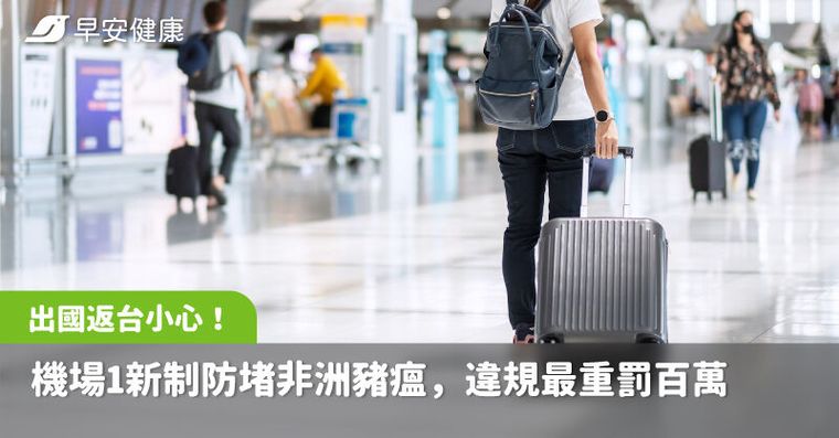 出國返台小心！台灣機場「1新制」防堵非洲豬瘟，違規最重罰百萬元
