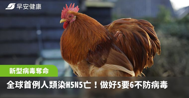 全球首例人類染H5N5禽流感死亡！疾管署：「5要6不」嚴防新型病毒