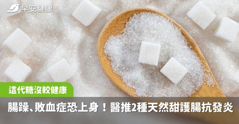 這代糖沒比較健康，腸躁、敗血症恐上身！醫推2種天然甜護腸抗發炎