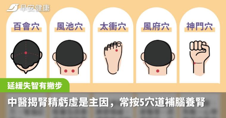 延緩失智有撇步，中醫揭腎精虧虛是主因，常按5穴道補腦養腎